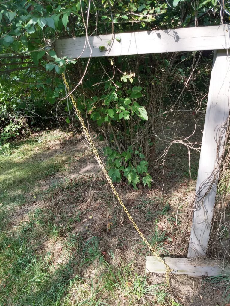 wood frame with chain for hops