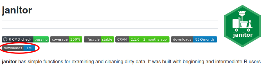 Reflections on five years of the janitor R package
