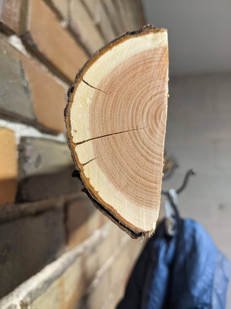 side view of wood