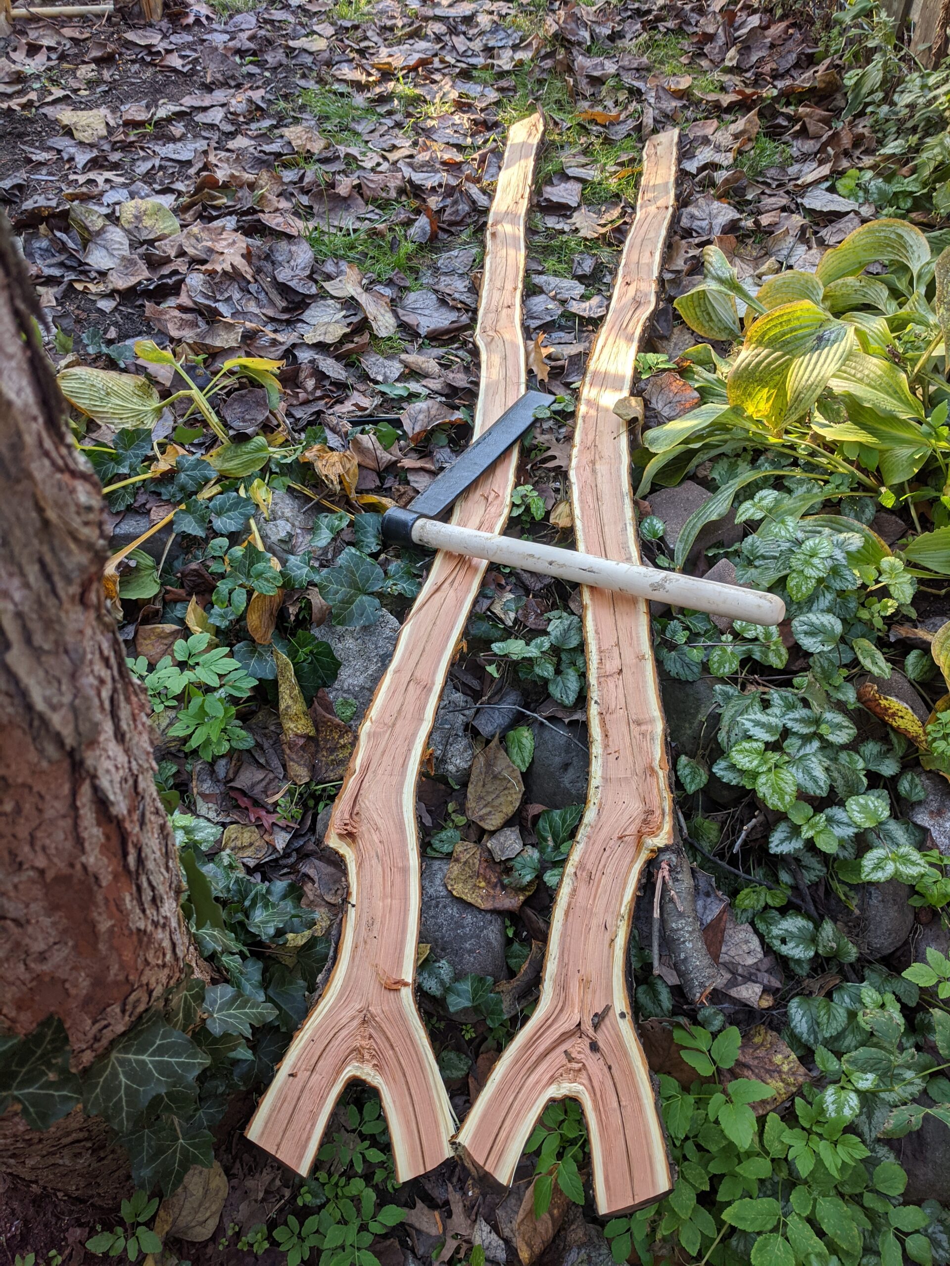 Making a coat rack from a buckthorn log