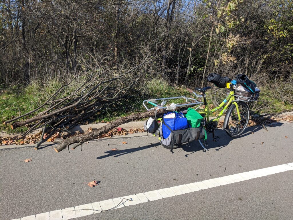 a log on a bike