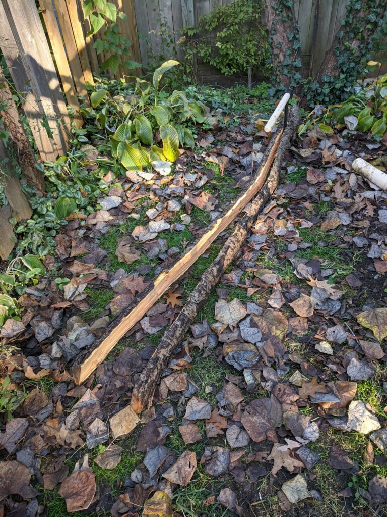 tree trunk almost entirely split by a froe