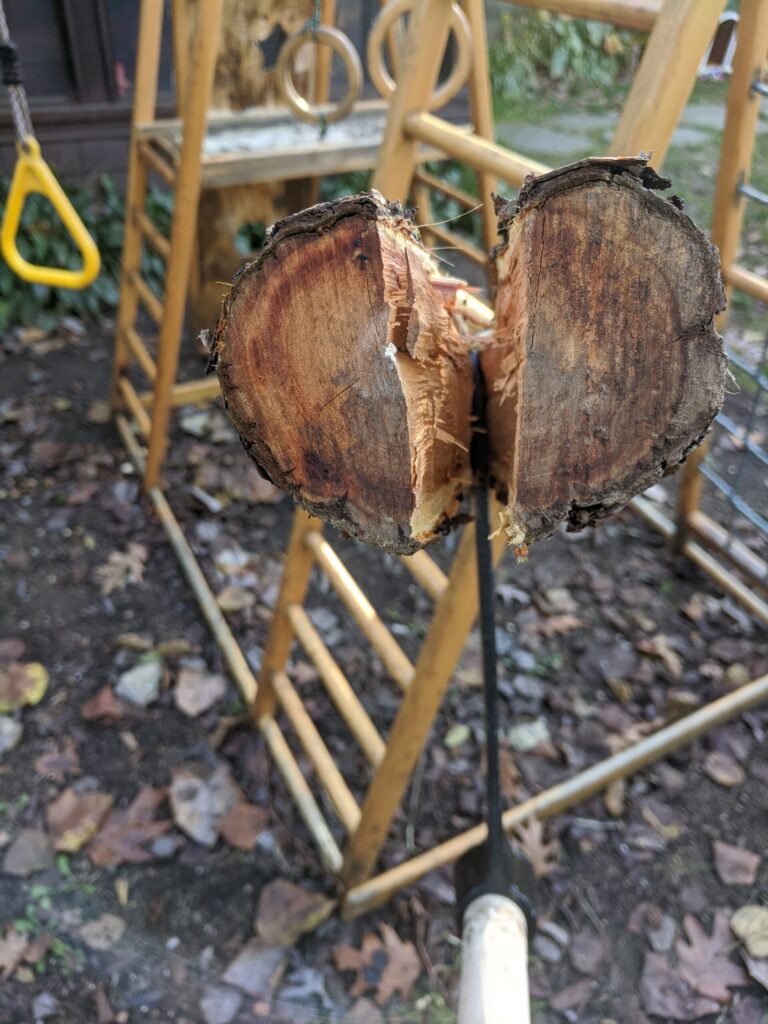 froe splitting wood, viewed from behind